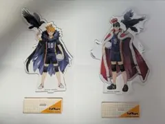 ハイキュー アクリルスタンド 日向翔陽&影山飛雄