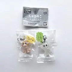 【匿名配送】ガチャ しかるねこ めじるしアクセサリー 2個セット