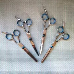 Item thumbnail for item 509fe8c8-9485-422f-b32b-8069daff95c9