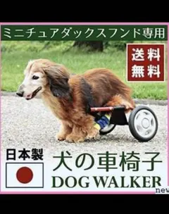 ドッグウォーカー 犬用車椅子 ミニチュアダックスフンド 専用 - メルカリ