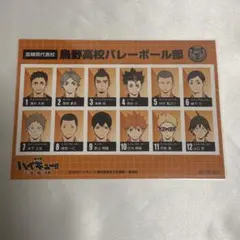 烏野高校 ハイキュー ゴミ捨て場の決戦 特典