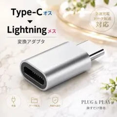 Type-Cオス Lightningメス 変換アダプター 充電 転送に シルバー