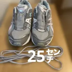 asics シューズTIGONシリーズ　25.0cmのサムネイル