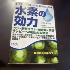 水素の効力 三羽信也著