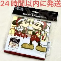 新品☆東京ディズニー限定 ミニタオル ダズリング・クリスマス・イン・ニューヨーク