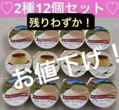 ⚠️残りわずか⚠️ローゼンハイム　プディングセレクション2種12個 プリン