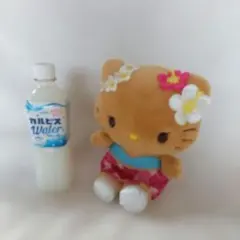 最終価格❗ハローキティ サンリオ トコナツバケーション 日焼けキティ ぬいぐるみ