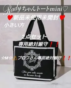 専用絶対厳守♥ Radyちゃんminiトート2色2点新品未使用未開封