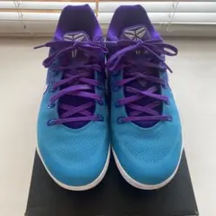NIKE KOBE Ⅸ LOW EM