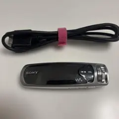 2026年最新】SONY ポータブルプレーヤーの人気アイテム - メルカリ