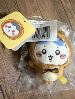 ちいかわ たぬきだもんくじ C賞 ハチワレ