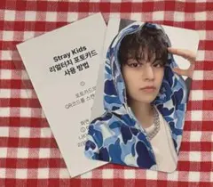 スンミン　celebrATE リアルタッチ トレカ　fans