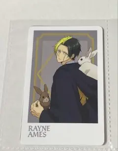 マッシュル ナンジャタウン クリアカード レイン