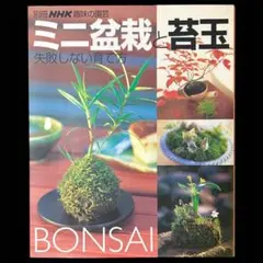 Item thumbnail for item e9e096e4-7994-4ffe-afef-ae79432d390a