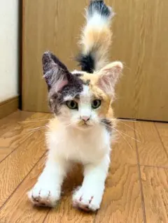 羊毛フェルト 猫 子猫 ハンドメイド 作家 アートドール 白黒 赤ちゃん