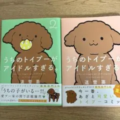うちのトイプーがアイドルすぎる。
