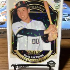 Item thumbnail for item 92182de8-c822-4582-93b6-b08f0a73b1dc