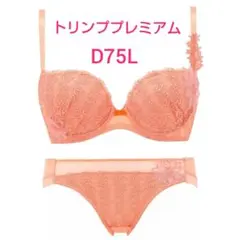 【匿名配送メルカリ便】トリンプ ☆きれいな谷間メイク☆
