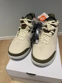 ズームレブロン　NXXT GEN AMPD FAZE EP 29センチ