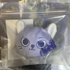 BOYNEXTDOOR BBNEXDO FACE KEYRING ソンホ ケッピ