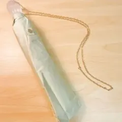 Item thumbnail for item 9daf6873-0ae0-4bf5-9eee-ace3c0df4f1f