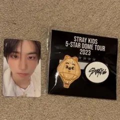 StrayKids スキズ ハン本国ペンミ オンライントレカ