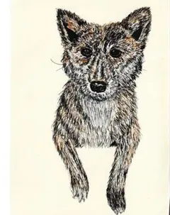 犬イラスト　アート作品　ペン画作品　犬ペン画原画　秋田犬イラスト　柴犬イラスト