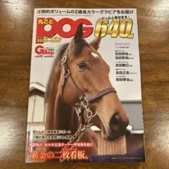 臨時増刊号 Gallop'99 / JRA重賞年鑑 週刊ギャロップ 競馬 - メルカリ