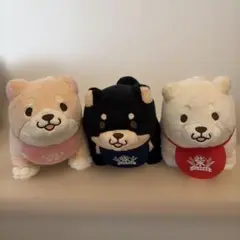 忠犬もちしば　ぬいぐるみ(S) 【うめ】【ごま】セット