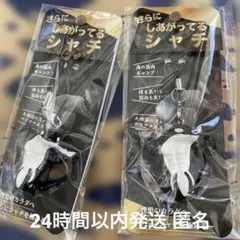 【新品未開封】さらに、しあがってるシャチ　須磨シーワールド　岩本照　2点セット