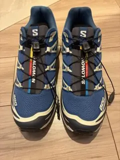 梨花愛用❤︎新品未使用SALOMON XT-6 サロモン グリーン - メルカリ
