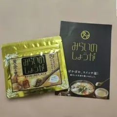 みらいのしょうが 70g 生姜 生姜パウダーのサムネイル