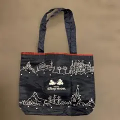東京ディズニーリゾートエコバッグ新品未使用