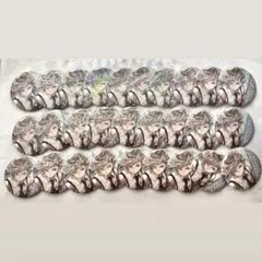 中島敦 ホログラム缶バッジ28個 文豪ストレイドッグス