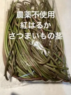 農薬不使用 紅はるか さつまいもの茎 芋づる 408g 野菜