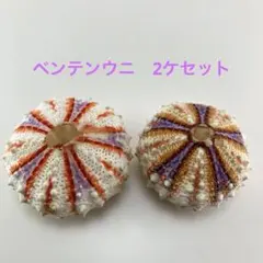 ハム様 リクエスト 2点 まとめ商品
