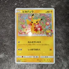 即日発送☆ポケモンカード ピカチュウ プロモ 224/SM-P