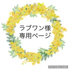 ラブワン様専用ページ