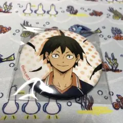 ハイキュー!!   キャラバッジコレクション　缶バッジ　山口