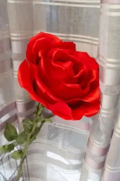 Item thumbnail for item 8fb84fb2-e859-400c-be3b-f8de3d5b27b4