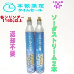 本数限定セール！6-65758_ソーダストリームシリンダー2本 - メルカリ