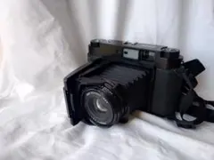 2026年最新】fujifilm gf670の人気アイテム - メルカリ