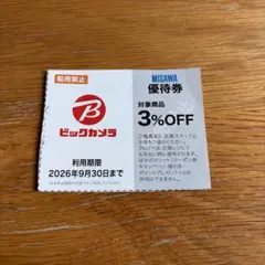 ビックカメラ　優待券