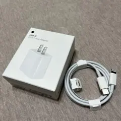 【即購入可】Apple純正　電源アダプター　MHJA3AM/A ケーブルセット