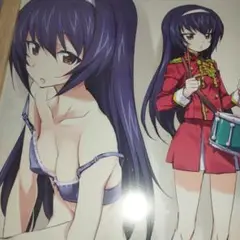 ガールズ＆パンツァー 　冷泉麻子　額装　B5サイズ