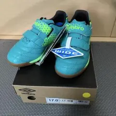 アクセレイター グリーン×ライム　ジュニアフットサルシューズ　17.0㎝