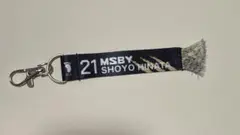 日向翔陽 msby