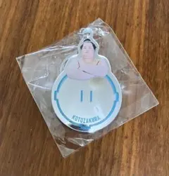 大相撲　ミラーキーホルダー　琴櫻
