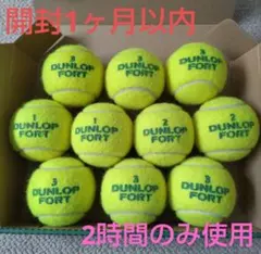 開封1ヶ月以内 2時間のみ使用 中古 ダンロップフォート テニスボール 10個