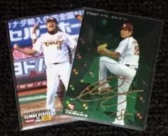 2025年最新】プロ野球チップス 田中将大の人気アイテム - メルカリ